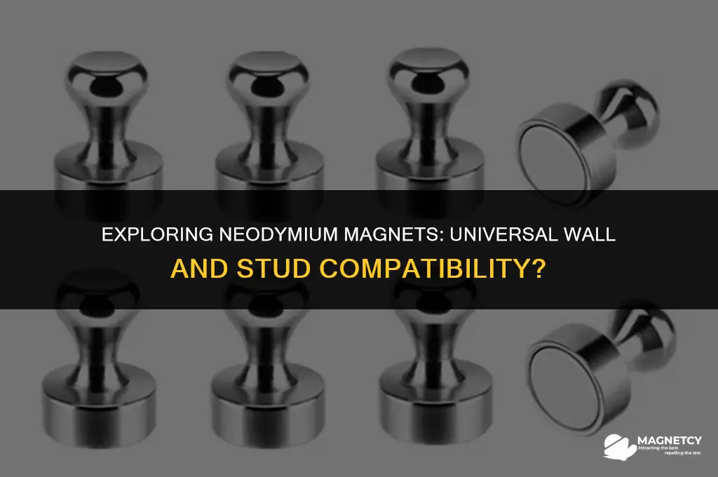 do neodymium magnets work on all walls and studs