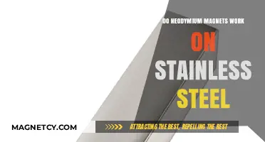 Exploring Magnetic Attraction: Neodymium Magnets and Stainless Steel