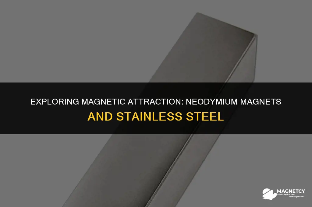 do neodymium magnets work on stainless steel