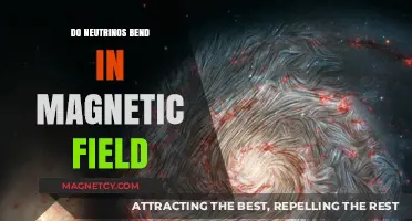 Exploring the Mysteries: Do Neutrinos Bend in Magnetic Fields?