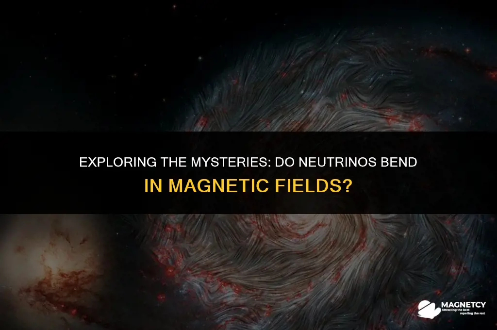 do neutrinos bend in magnetic field
