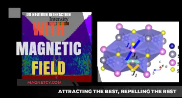 Exploring the Mysteries: Neutron Interactions with Magnetic Fields