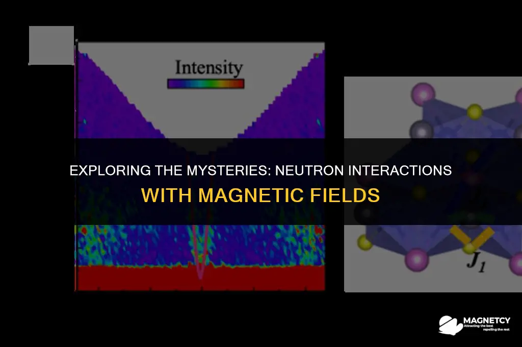 do neutron interaction with magnetic field