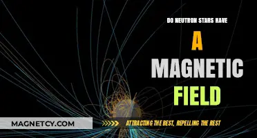 Unveiling the Mysteries: Do Neutron Stars Harbor Magnetic Fields?