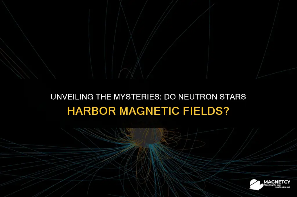 do neutron stars have a magnetic field