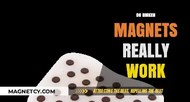 Exploring the Science Behind Nikken Magnets: Do They Really Work?