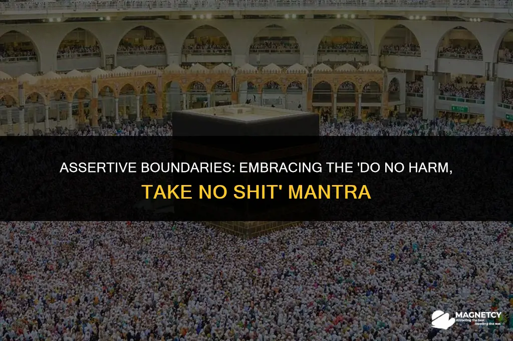 do no harm but take no shit magnet