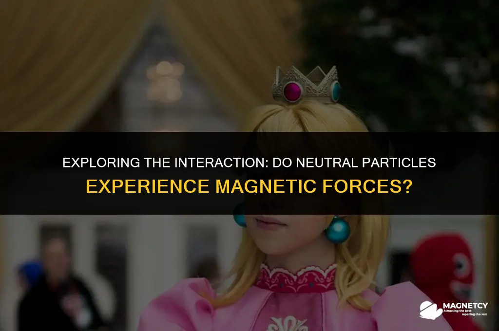 do non-charged particels feel a magnetic forcd