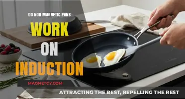 Exploring Induction Cooking: The Truth About Non-Magnetic Pans