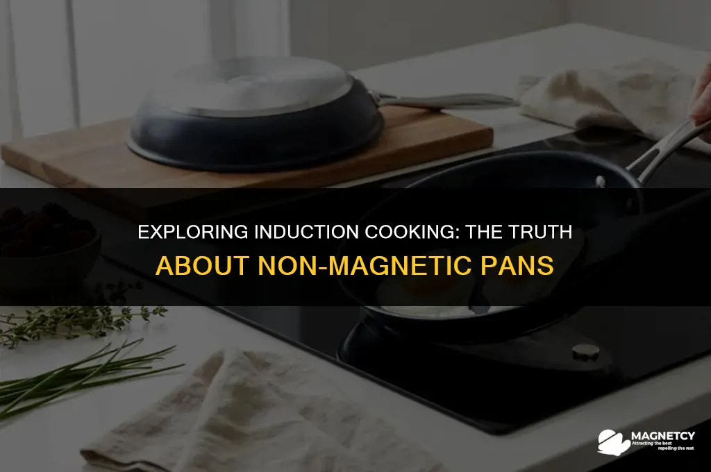 do non magnetic pans work on induction