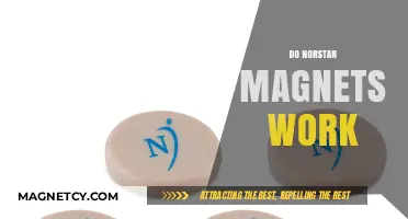 Unveiling the Truth: Do Norstar Magnets Really Work?