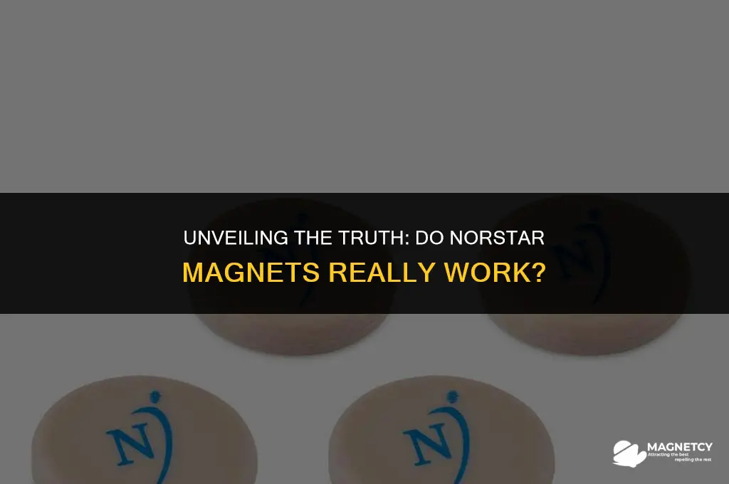 do norstar magnets work