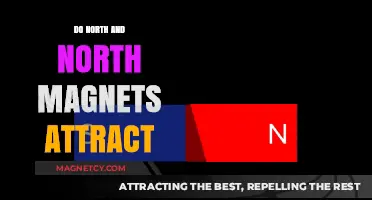 Do North and North Magnets Attract? Unraveling Magnetic Pole Interactions