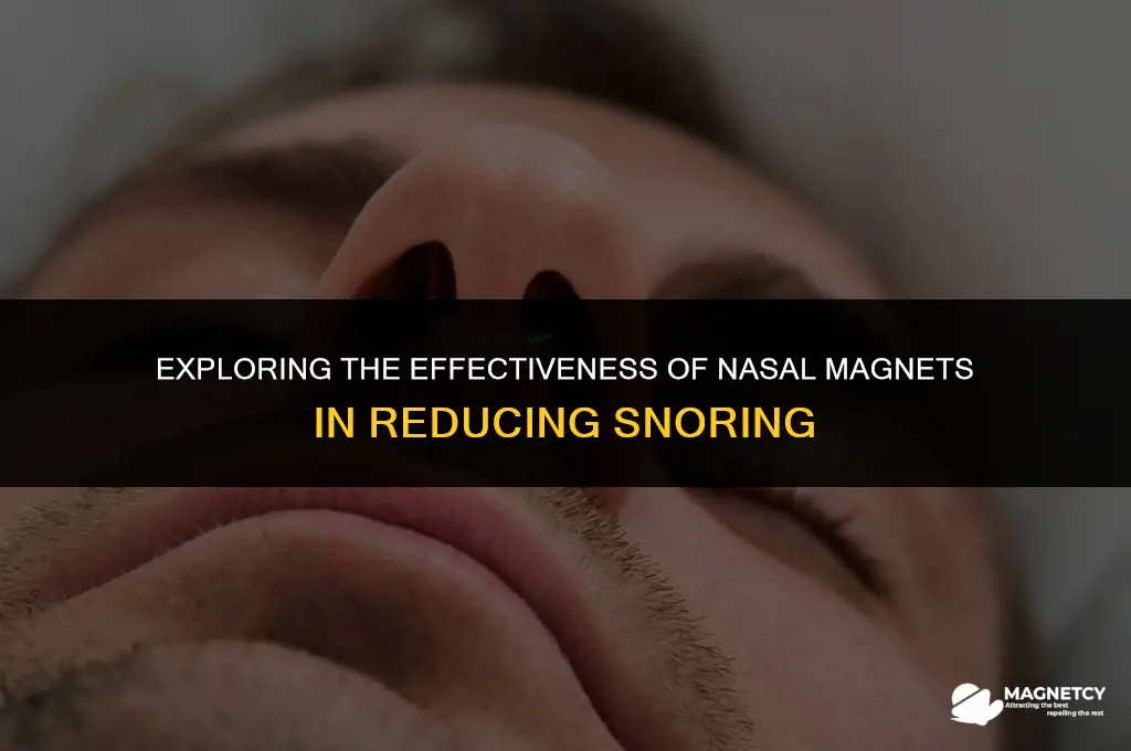 do nose magnets work for snoring