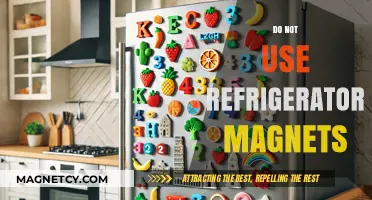 Why Refrigerator Magnets Are a Hidden Hazard: Avoid the Risks