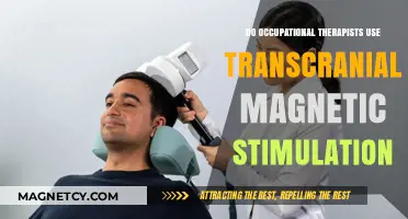 Exploring TMS: Can Occupational Therapists Utilize Transcranial Magnetic Stimulation?