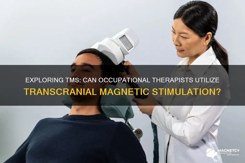 do occupational therapists use transcranial magnetic stimulation