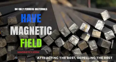 Exploring Magnetism: Are Ferrous Materials the Only Players?