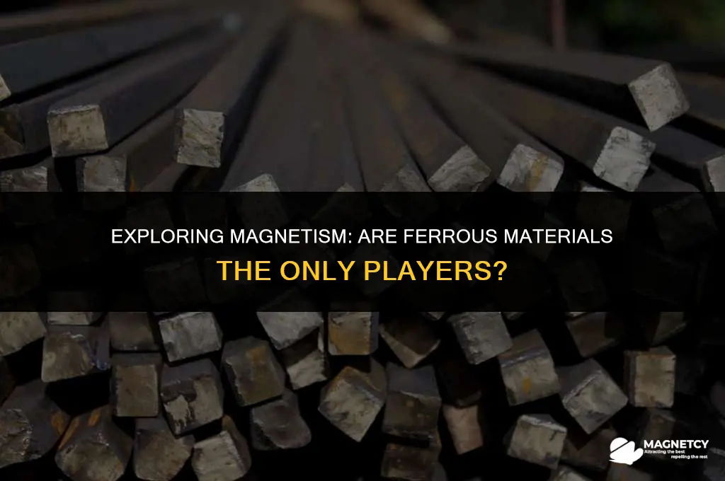 do only ferrous materials have magnetic field