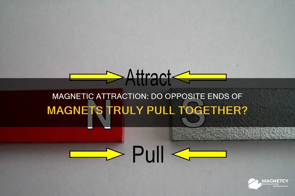 do opposite ends of a magnet attract