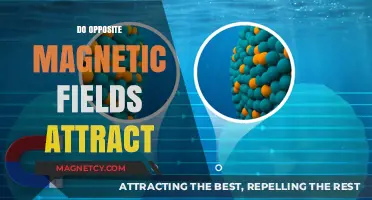 Opposite Magnetic Fields: Attraction or Repulsion? Unraveling the Science
