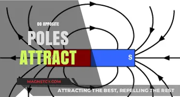 Opposite Poles Attract: Unraveling the Magnetic Myth and Reality