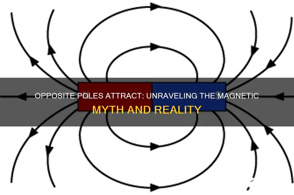 do opposite poles attract