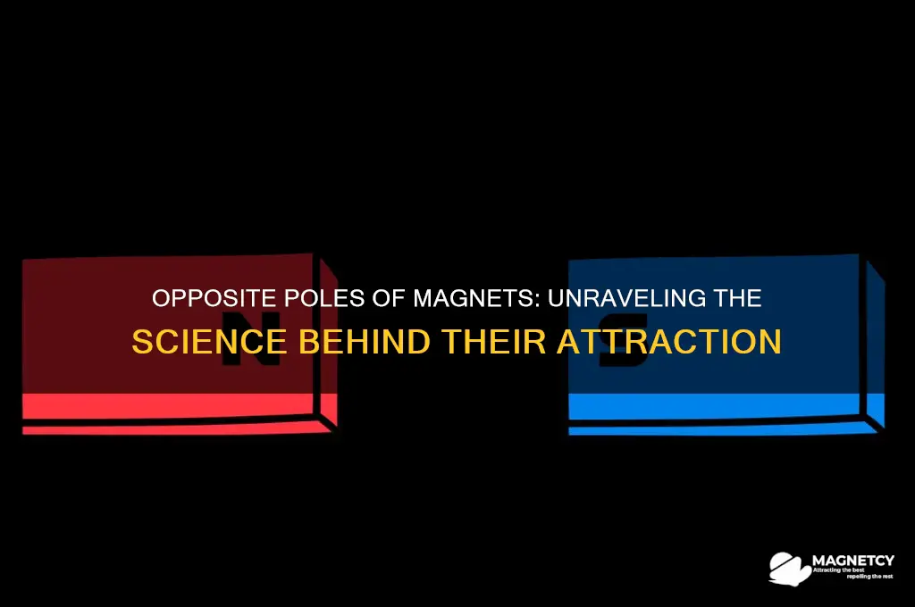 do opposite poles of magnets attract