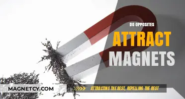 Do Opposites Attract? Unraveling the Magnetic Force Between Poles