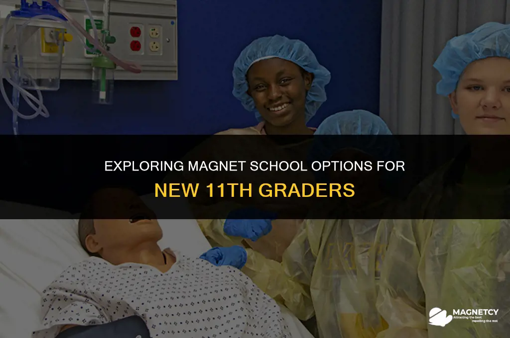 do other magnet schools accept new 11th graders