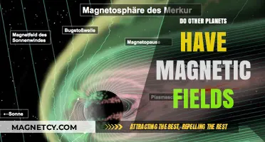 Exploring Cosmic Mysteries: Do Other Planets Harbor Magnetic Fields?