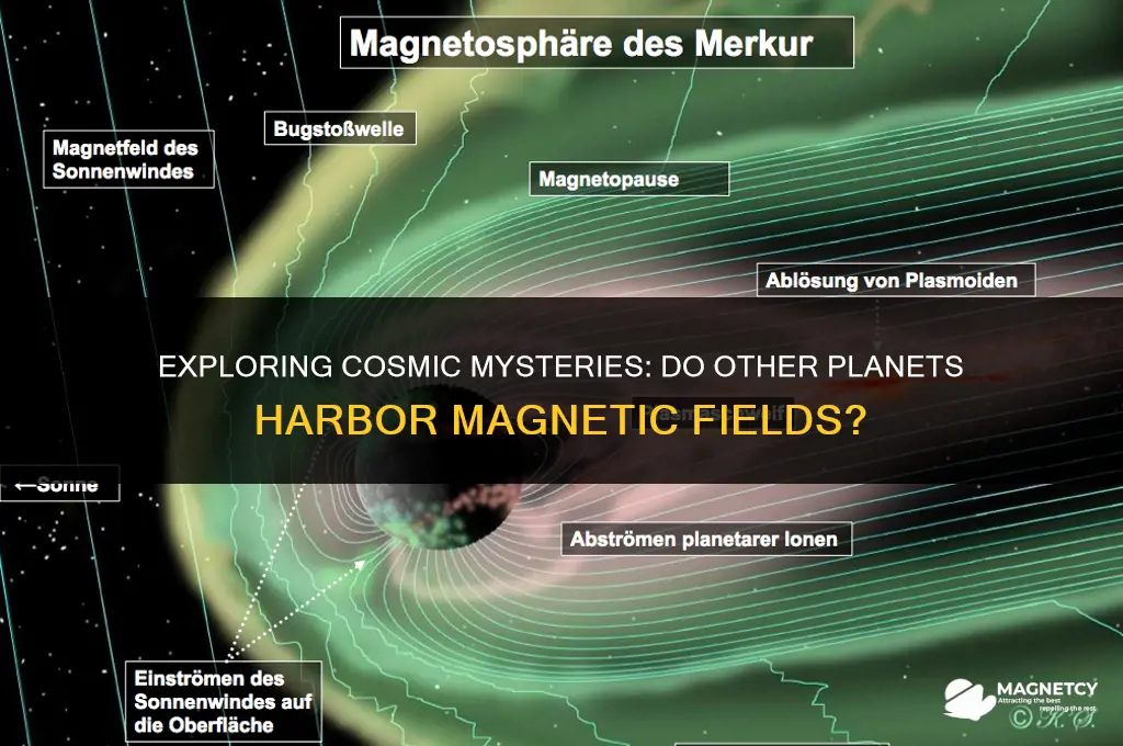 do other planets have magnetic fields