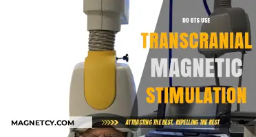 Exploring Transcranial Magnetic Stimulation: A Tool for Occupational Therapists?