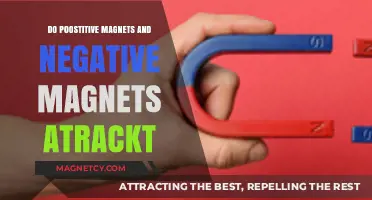 Exploring Magnetic Forces: Do Opposites Really Attract?