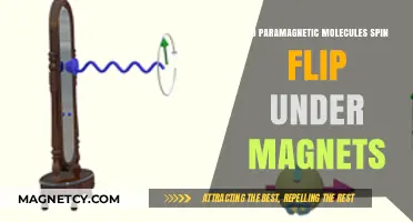 Exploring Spin Dynamics: Do Paramagnetic Molecules Flip Under Magnetic Fields?