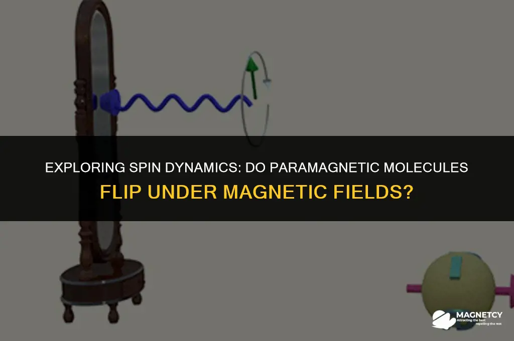 do paramagnetic molecules spin flip under magnets