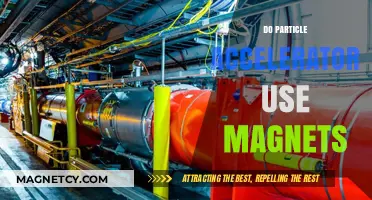 How Magnets Power Particle Accelerators: Unlocking the Secrets of Science