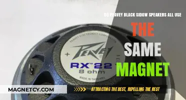 Do All Peavey Black Widow Speakers Share the Same Magnet?