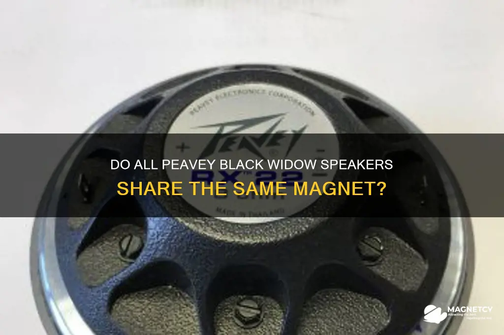 do peavey black sidow speakers all use the same magnet