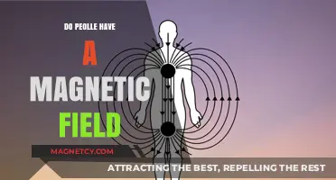 Exploring the Human Aura: Do People Emit Magnetic Fields?