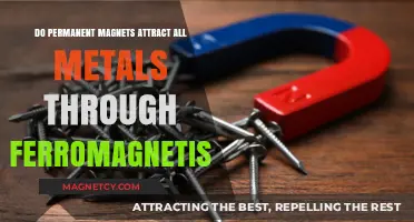 Do Permanent Magnets Attract All Metals via Ferromagnetism?