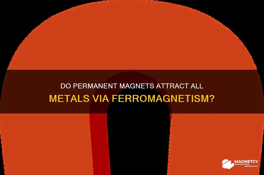 do permanent magnets attract all metals through ferromagnetism