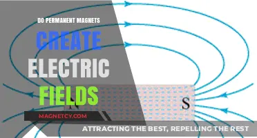 Exploring the Relationship Between Permanent Magnets and Electric Fields