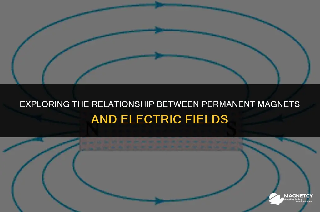 do permanent magnets create electric fields