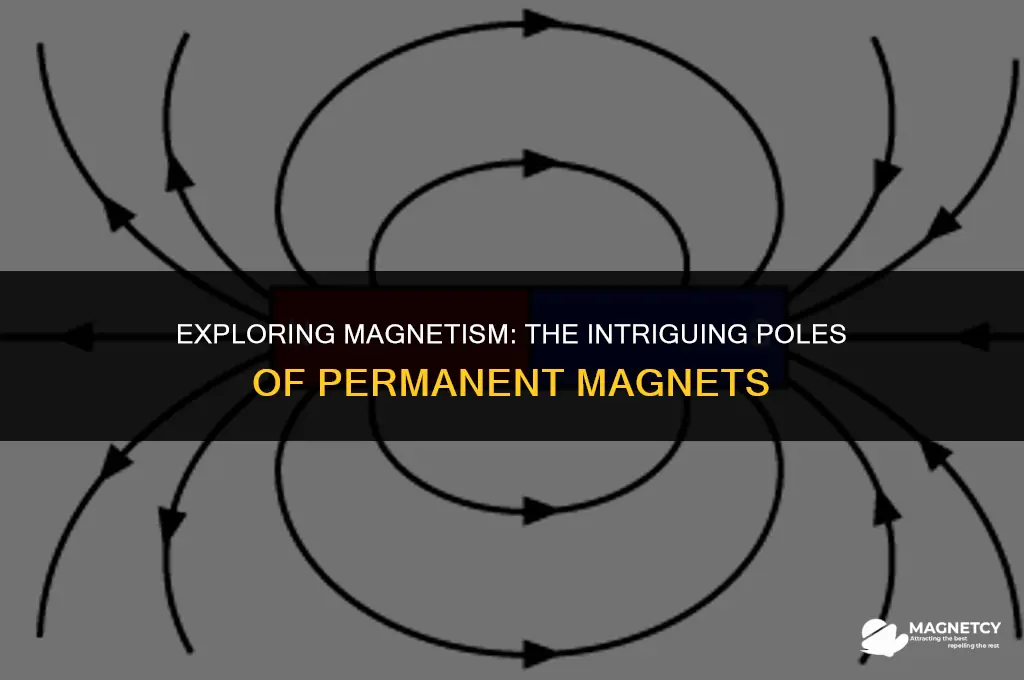 do permanent magnets have a north and south pole