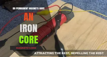 Exploring Magnetism: The Truth About Permanent Magnets and Iron Cores