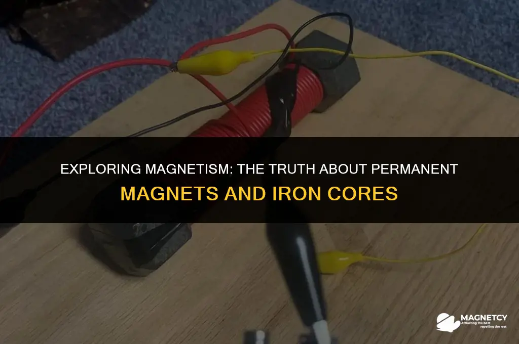 do permanent magnets have an iron core