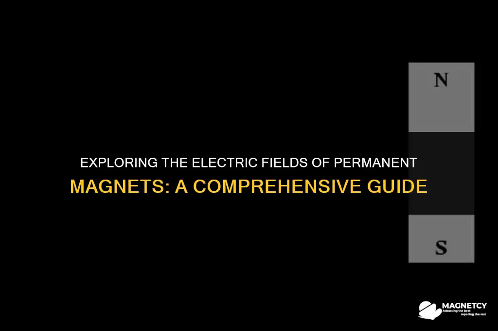 do permanent magnets have elecrtic fields