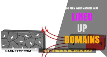 Exploring the Alignment of Domains in Permanent Magnets