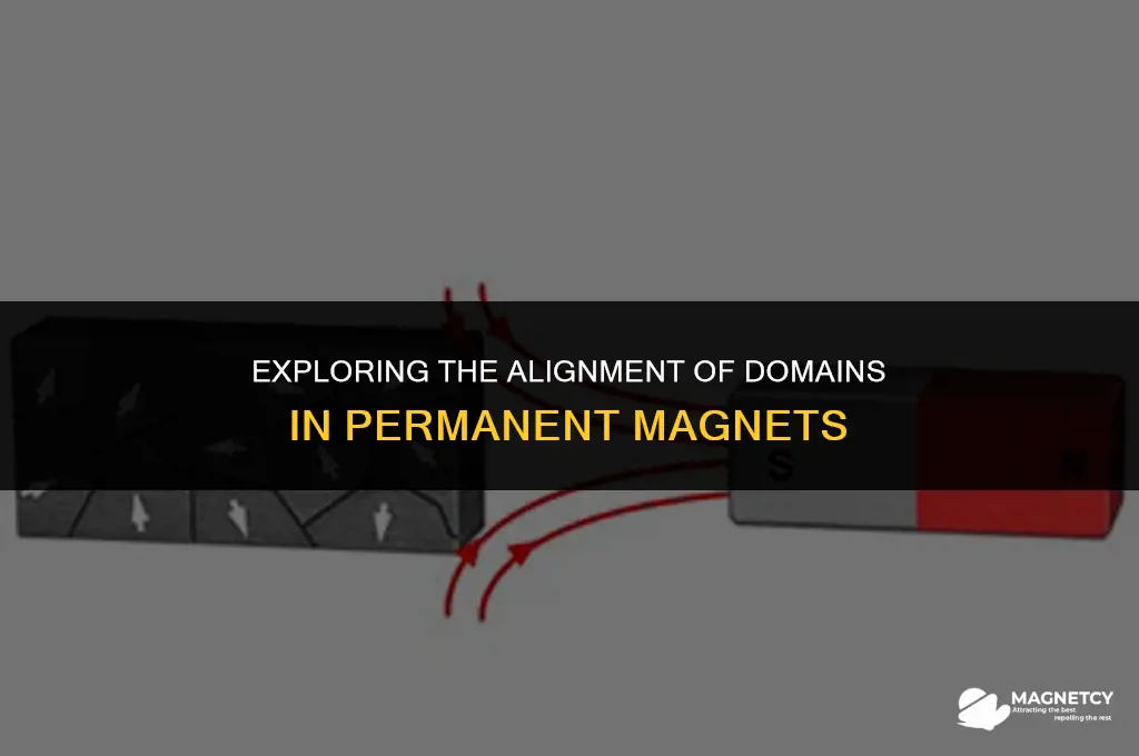 do permanent magnets have lined up domains